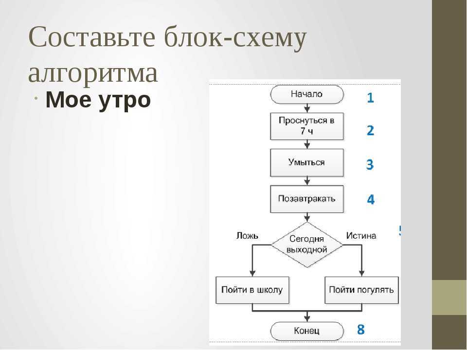 Выполнить блок схему. Блок схемы алгоритмов по информатике 6 класс. Алгоритм дня по информатике. Блок-схемы алгоритм дня. Алгоритм распорядка дня по информатике.