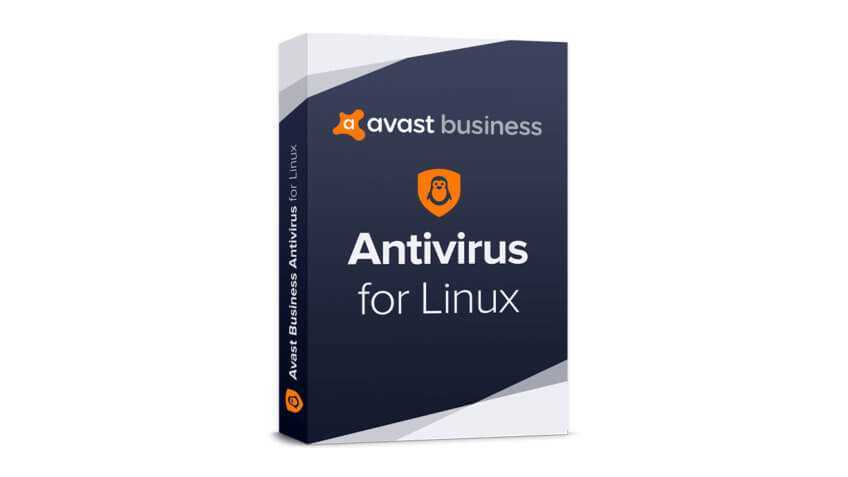 Как установить антивирус для linux mint (ubuntu). лучшие антивирусы для linux