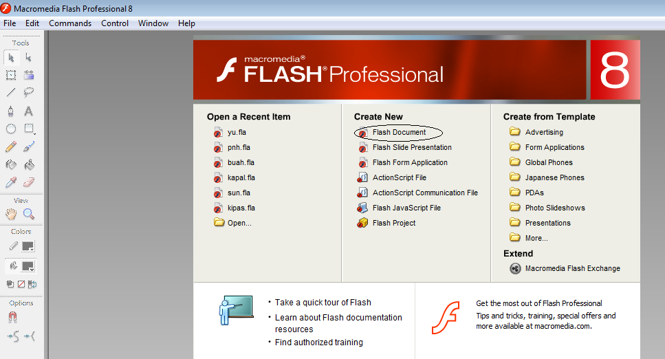 Программа Macromedia Flash MX разработана известной всему миру компанией Adobe, предназначена для работы с Flash приложениями и создания небольших анимаций