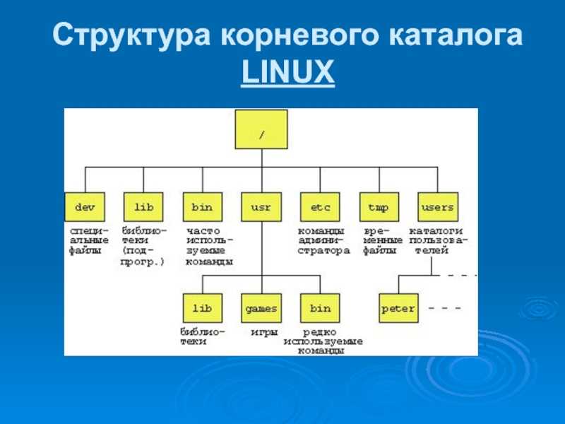 Считывание и настройка переменных оболочки и окружения в linux
