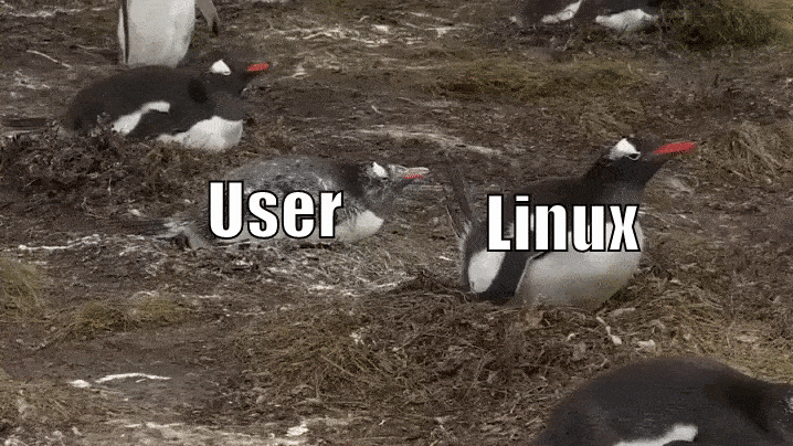 Обзор линукс (linux) — просто о сложном