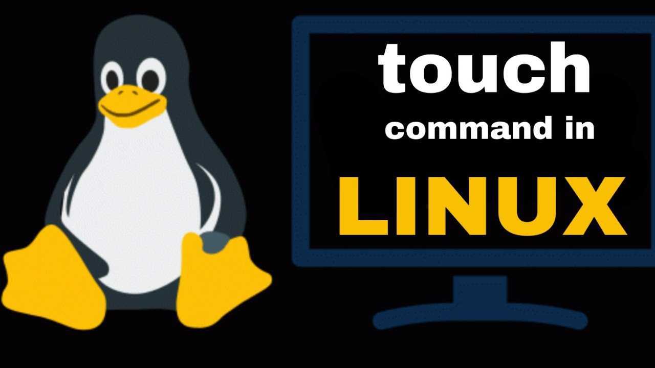 Справочник базовых команд в терминале linux с примерами | meliorem