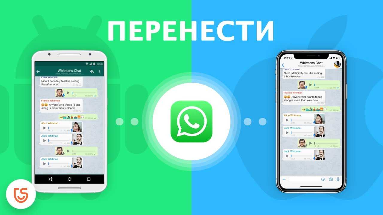 Перенос чатов ватсапа с андроид на айфон - nezlop.ru