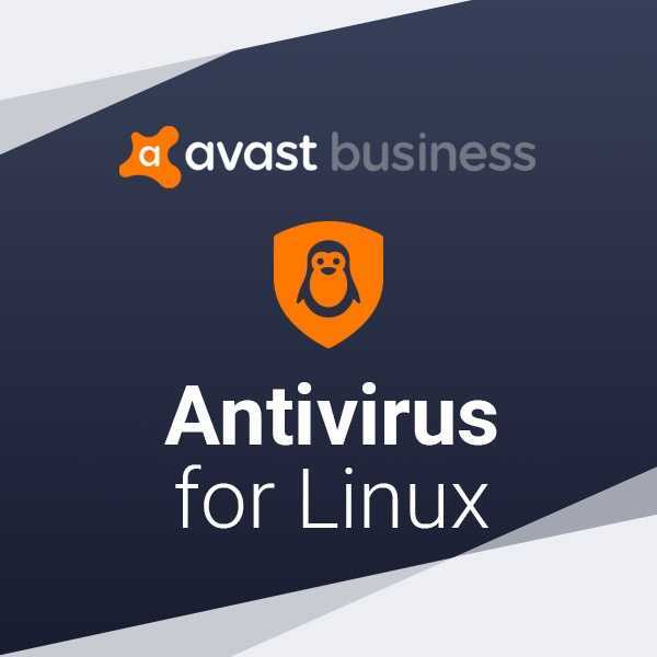 Почему антивирус не нужен пользователям linux