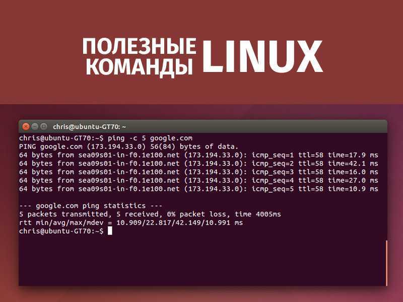 Основы работы в командной оболочке linux